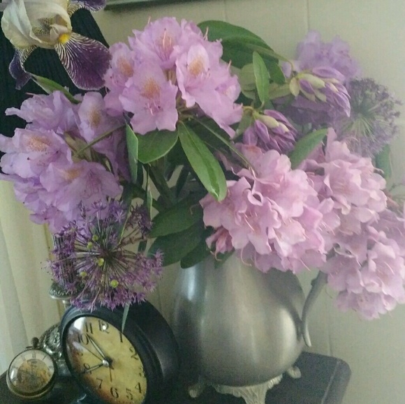 Meet your Posher, Vicki - Picture 1 of 1